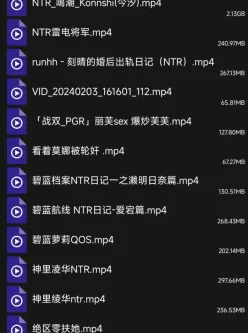 [自行打包] 自己收藏的mmd(二十七)--绝大多数是ntr [25v+22.41g][百度盘]